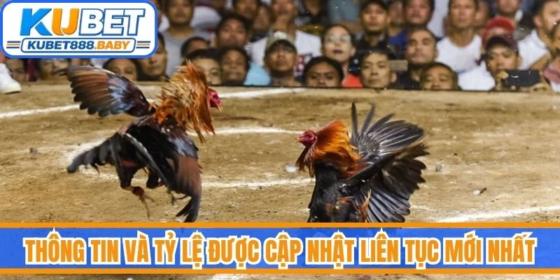 Thông tin và tỷ lệ được cập nhật liên tục mới nhất